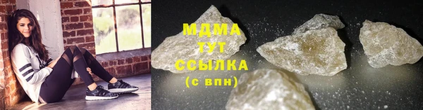 прущие грибы Касимов