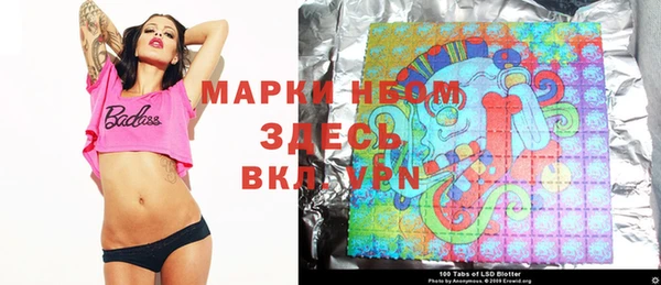 прущие грибы Касимов