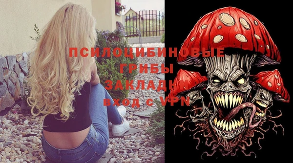 прущие грибы Касимов