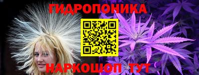 дмт Гатчина