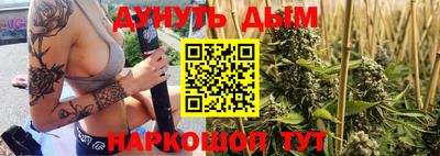 дмт Гатчина
