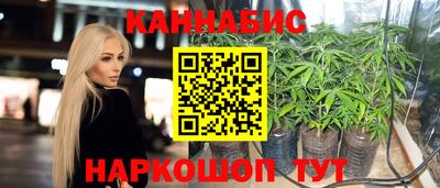 дмт Гатчина
