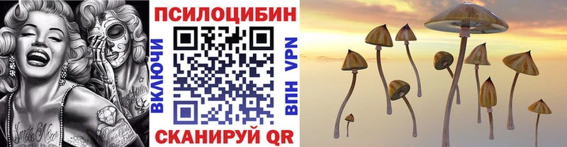 Псилоцибиновые грибы прущие грибы  Псков 