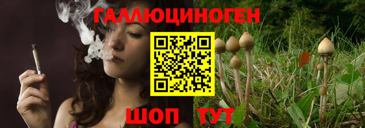 Псилоцибиновые грибы прущие грибы  Псилоцибиновые грибы мухоморы  Вход с VPN  Псков 